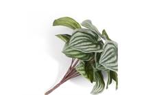 Coco Maison COCO MAISON accessoire Peperomia Bush H25cm kunstbloem